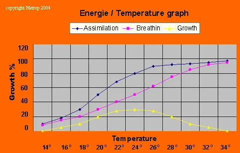 Temperatura y la energía